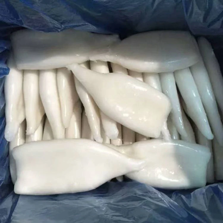 Seafood Quality U5 U7 Frozen Squid Tube