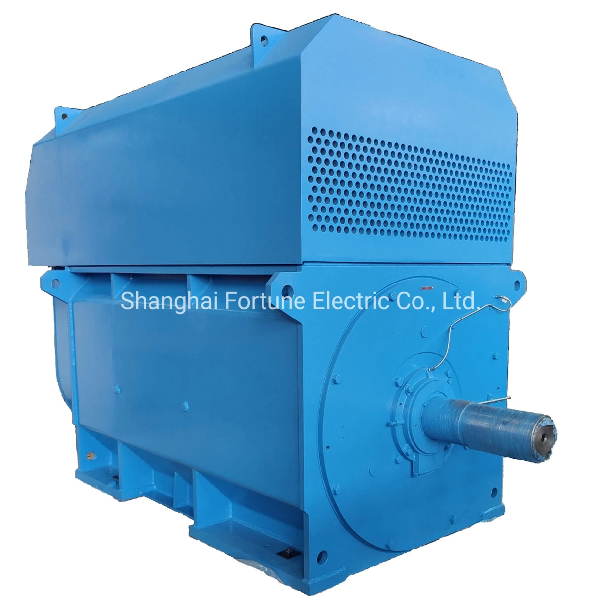 Big and Medium Size High Voltage Induction Asynchronous AC Electric Motor