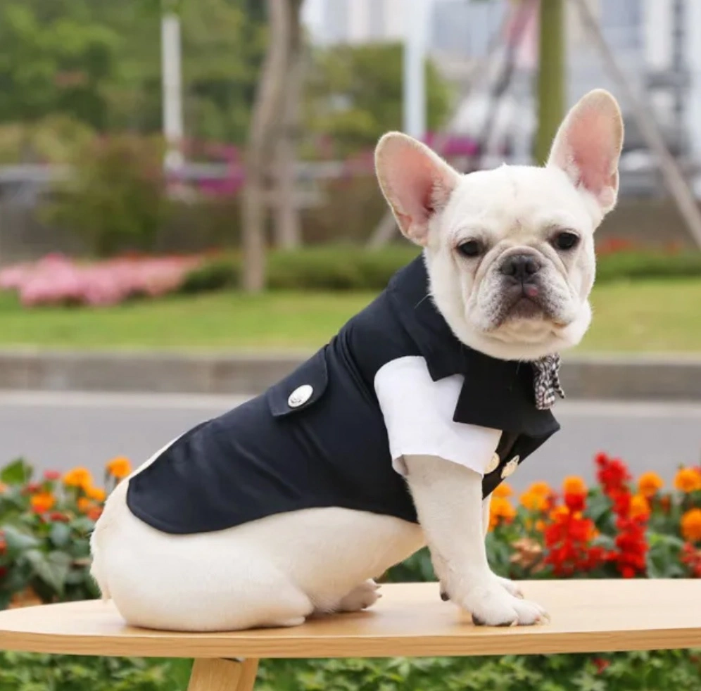 Hot Selling in Stock Summer Groom's Wedding Dress Pet Dog Clothes