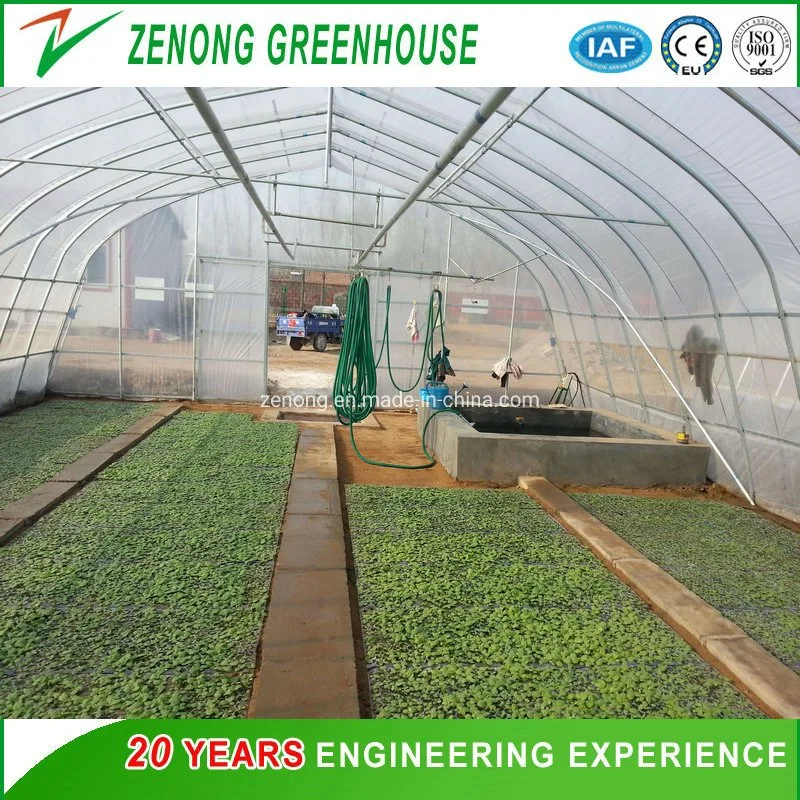 The Newest Agricultural Plastic Tunnel Film Green House for Vegetable Fruit