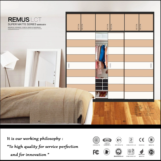 Two Sliding Doors Only for Bedroom Closet (zhuv)