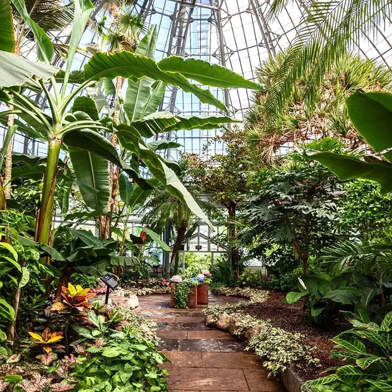 Multi Span Vegetal/Frutas/Flor/Granja/película de jardín/vidrio/PC Junta de invernadero con Rack Chat in Puerta