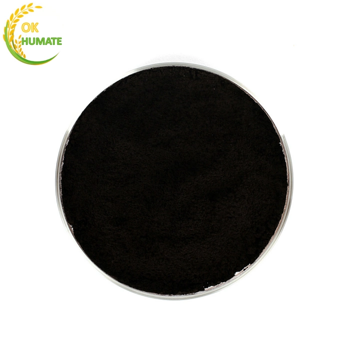 Humic Acid Organic Fertilizer that Is Beneficial to Plant Soil