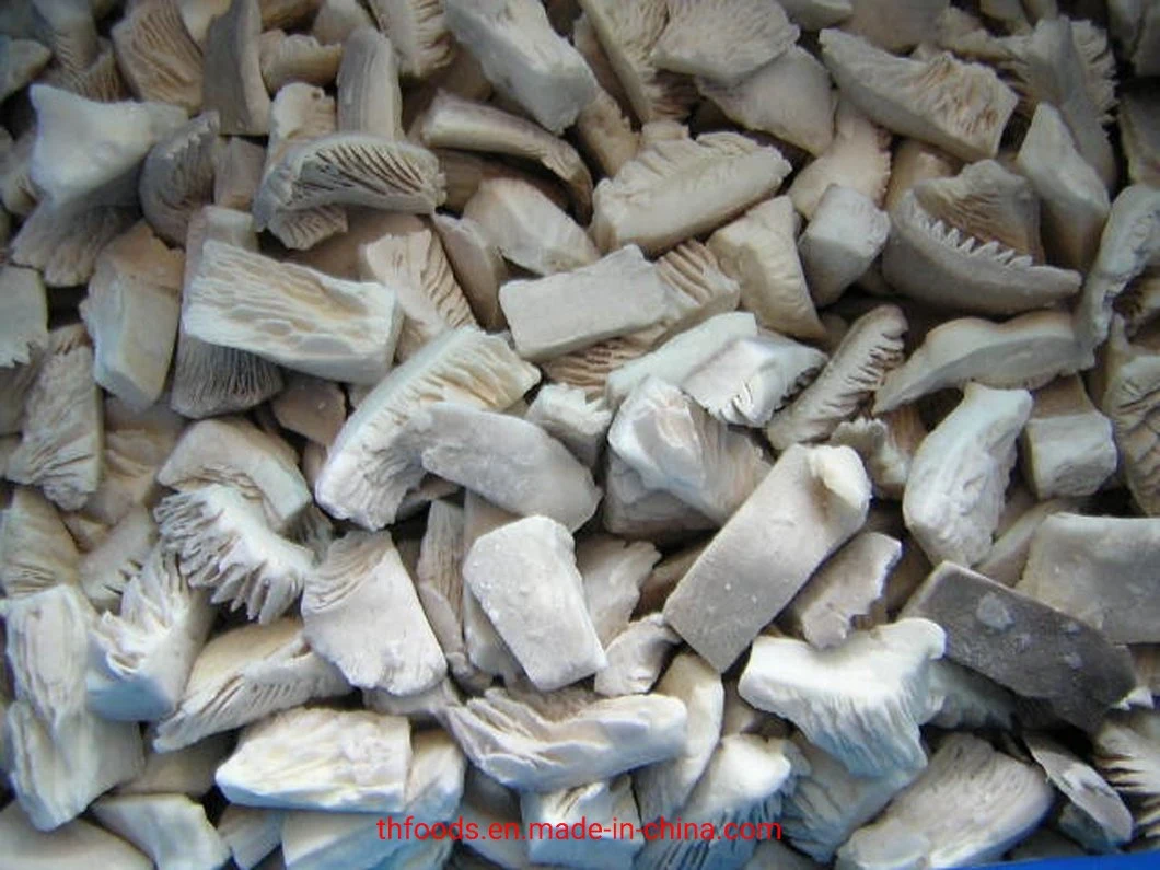 Frozen Edible Fungi Oyster Mushroom