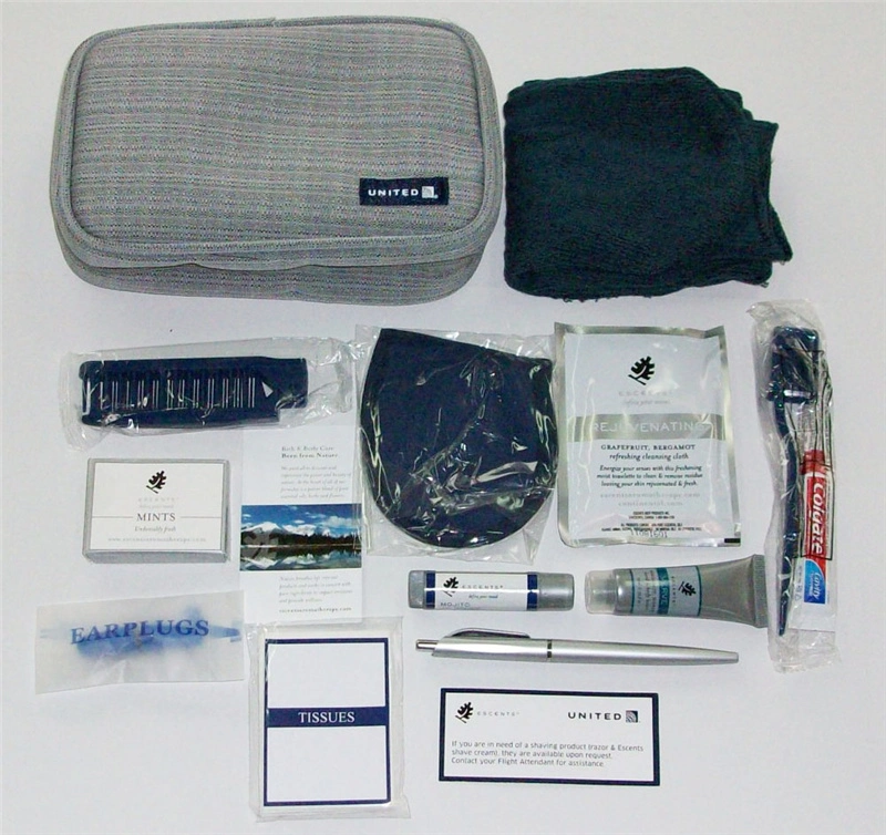 Disposable Dental Kit Easy Cosmetics Kit Travel Kits for Women