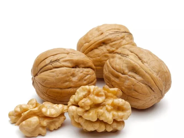 Dried Walnuts Kernels Top Grade