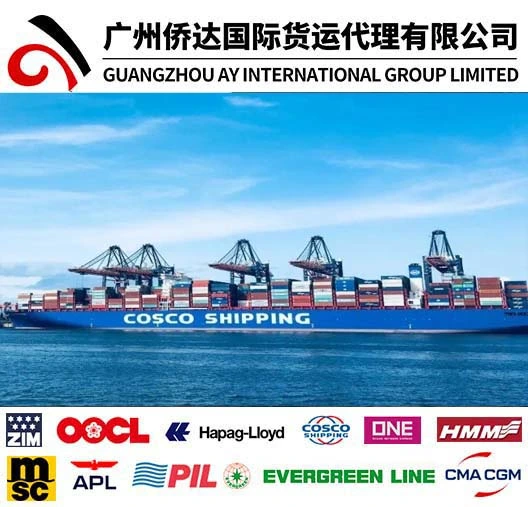 FCL/LCL Transporte de mercancías desde China a Abidjan, Costa de Marfil/Costa de Marfil con Guangzhou Warehouse y Yiwu Purchase Agent