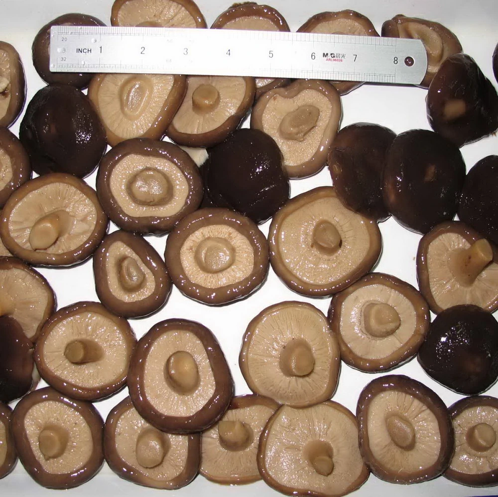 Natural Mushroom Canned Shiitake Po-Ku Mushroom Whole