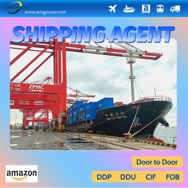 El mejor servicio de transporte marítimo DDU DDP y de China en el REINO UNIDO