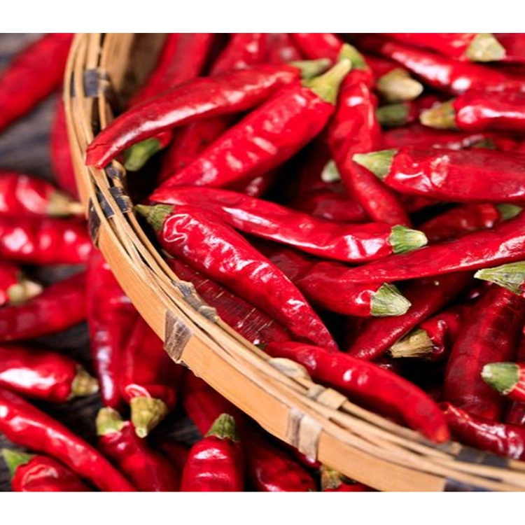 Factory Price Capsicum Frutescens Chili