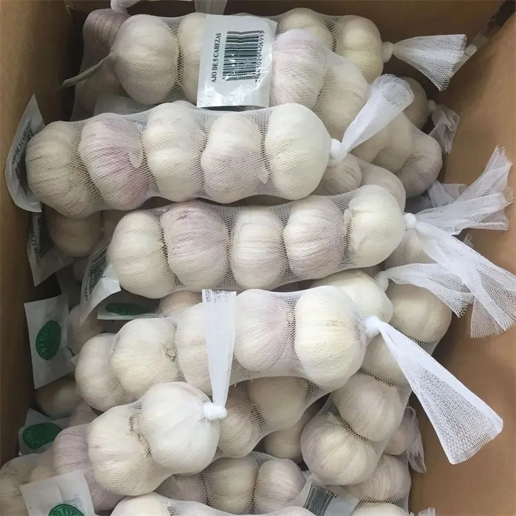 Indonesia High quality/High cost performance Wholesale/Supplier Fresh Normal White Garlic