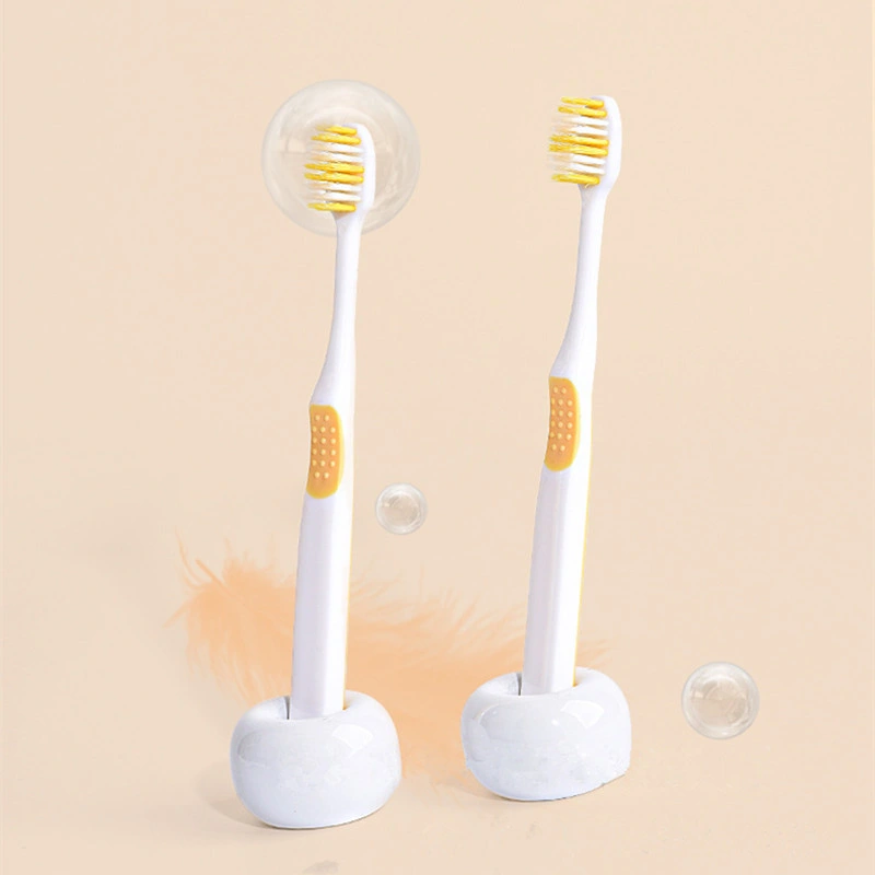 Servicios de lujo personalizados del hotel Viajes cepillo de dientes desechable Juego de pasta dental Kit