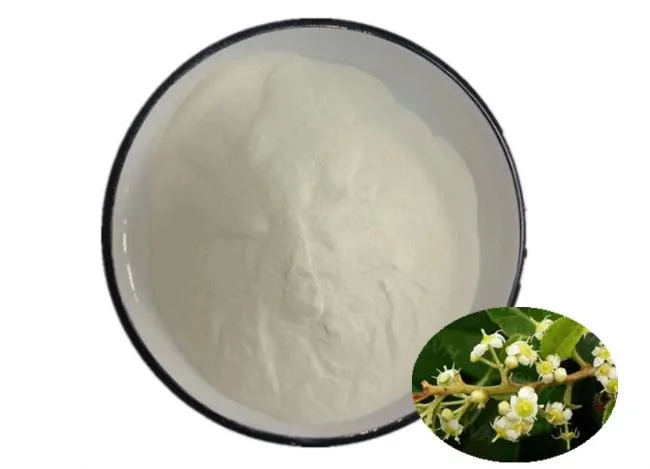 Top Purity Resveratrol Powder for Anti-Aging and Skin Care CAS No. 501-36-0