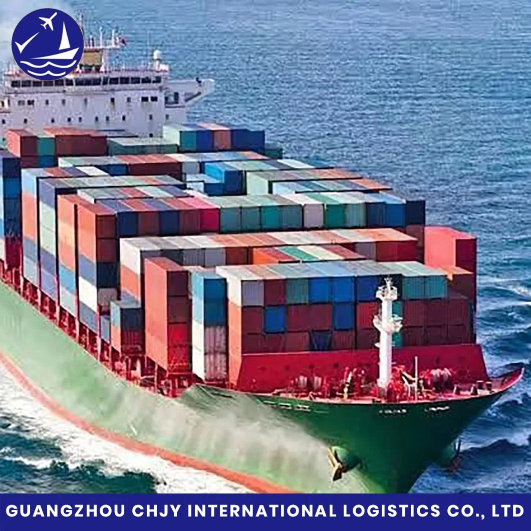 Professional and Experienced China to Europe Railway DDU/DDP Shipping Logistics