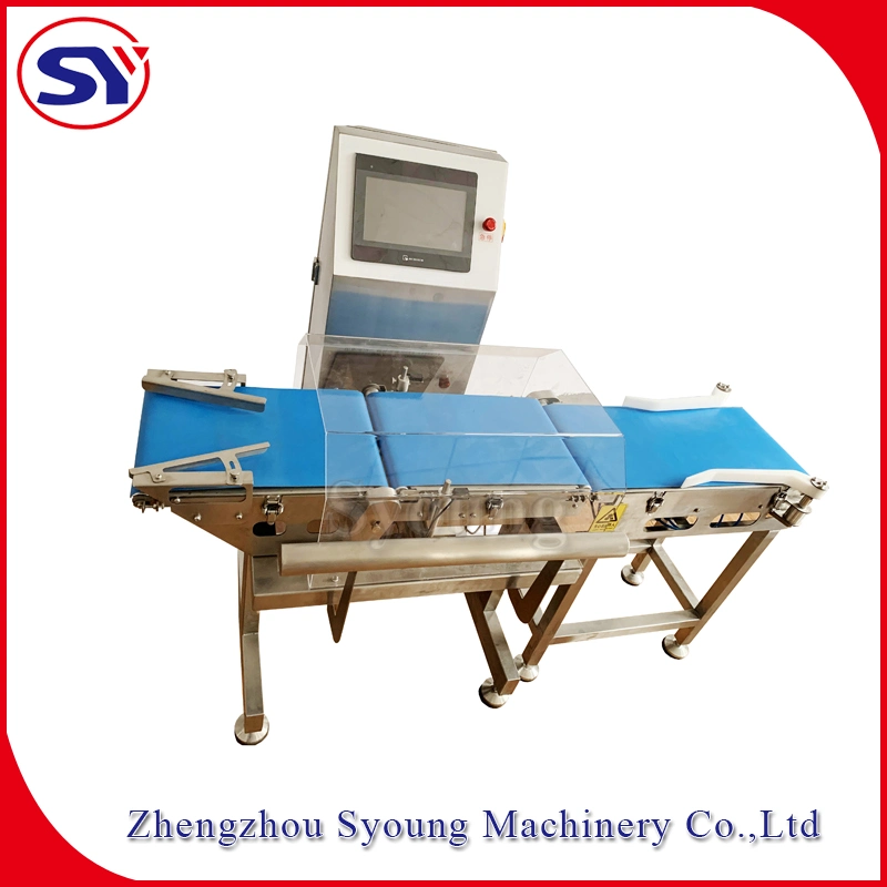 High Speed Online Checkweigher Food Belt Check Weigher Weight Machine Weigher