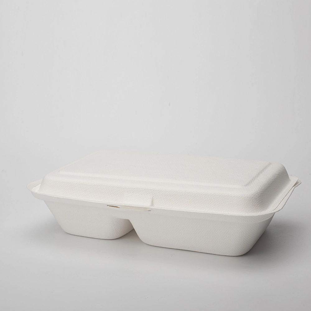 Biodegradable 9" X 6" 2-C Hinged Container for Takeout, Parties, Camping