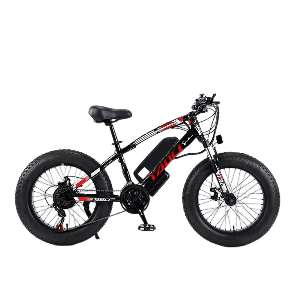 2023 China Carbon Steel Frame 20 Inch Fat Tire Mountain Bicycle Motor Electric Dirt Bike for Sale