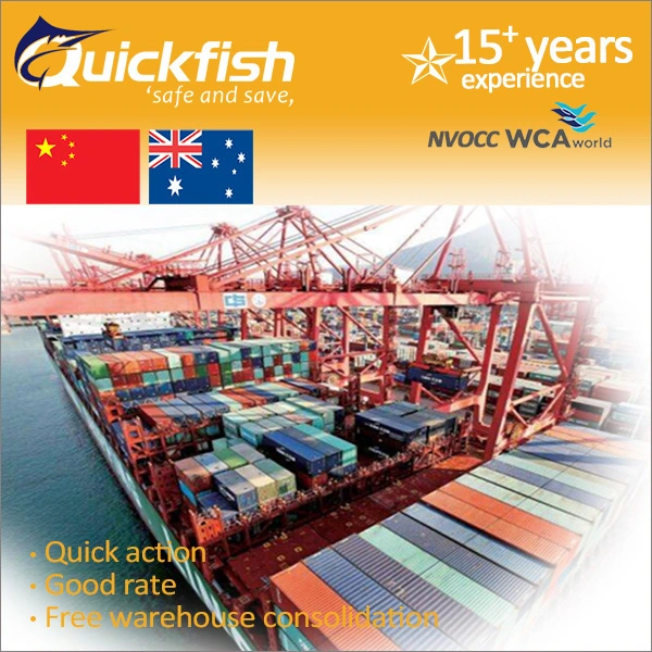 FCL/LCL Sea Freight Shipping Container From China to Melbourne Sydney Fremantle Australia