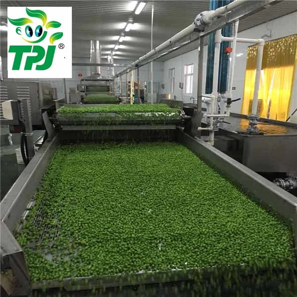 2023 Fresh Crops Frozen Vegetable Green Peas with Top-Noth Quality Factory Direct Supply