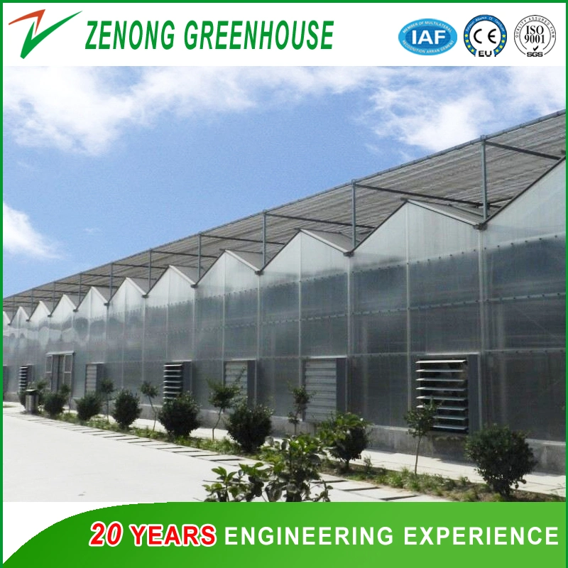 Intelligent Automatic Greenhouse Covered with PC Plate for Soil-Less Cultivation Equipped with Hydroponics/Substrate Planting System,