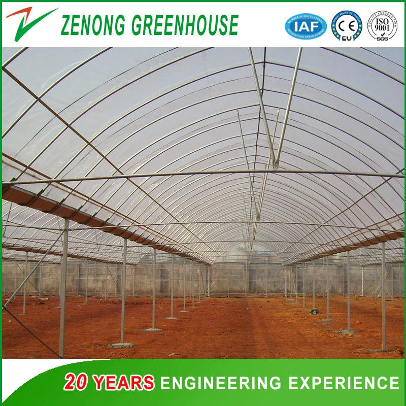 Poly-Tunnel Plastic Film Greenhouse with Ventilation Equipment