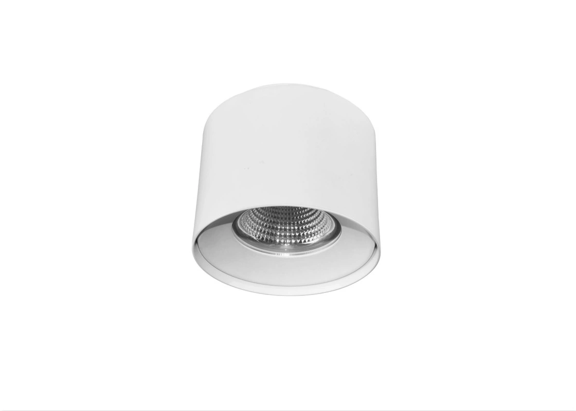 30W COB Surface Mounted LED Downlight