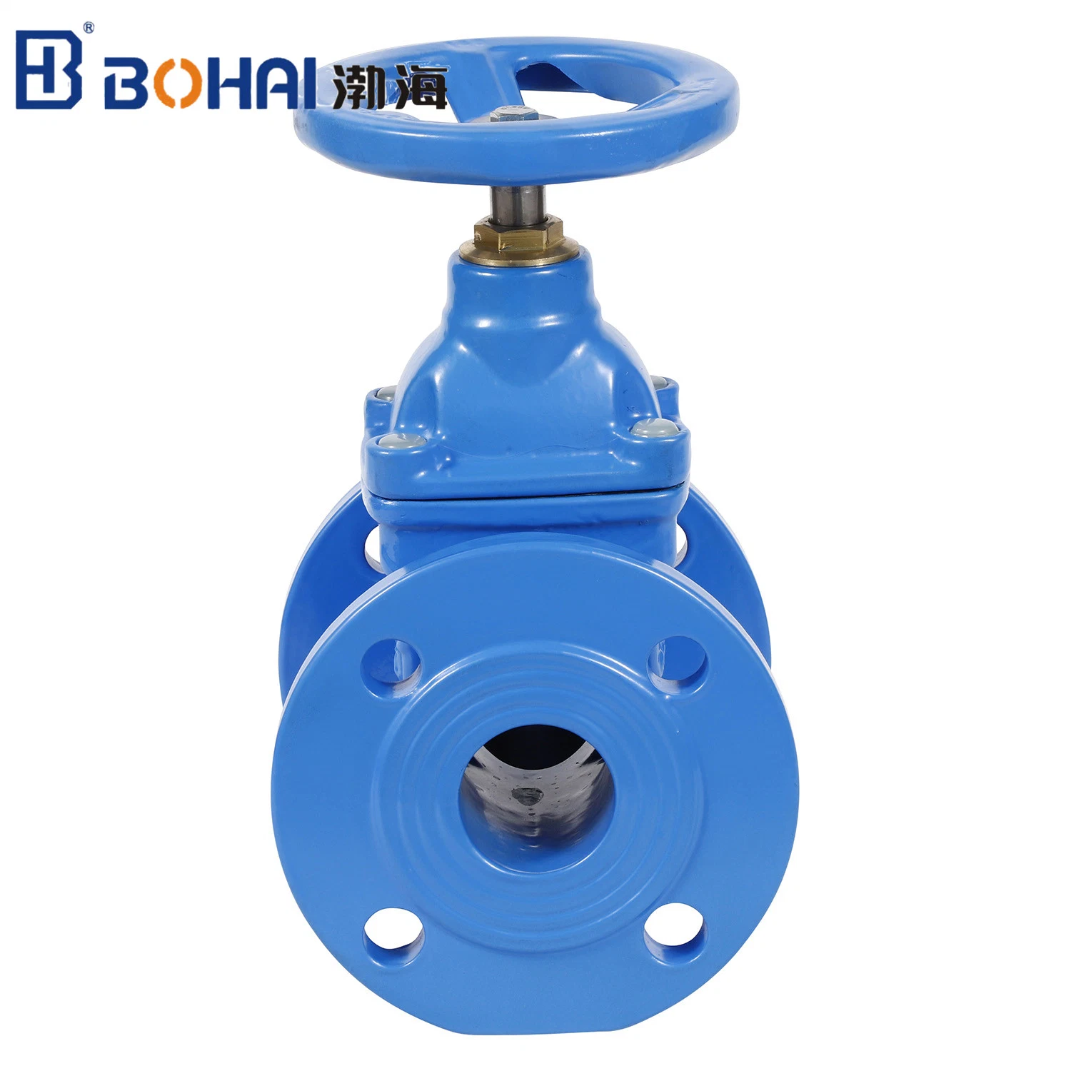 Flow Control Cast Steel Non Rising Resilient Soft Seat Industrial Slide Valves Pipe Fitting