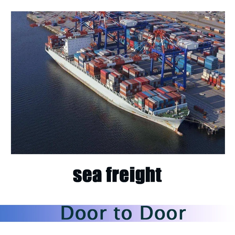 Sea Shipping FBA Agent Shipping Service из Канады в США