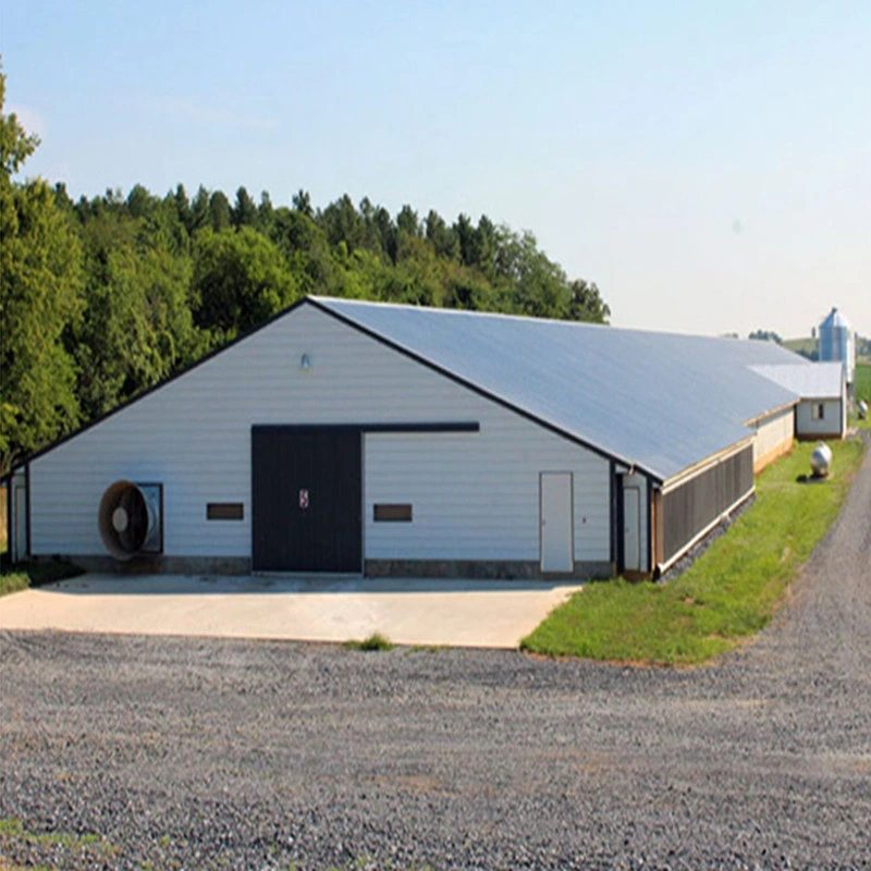 Bon prix Construction de structure modulaire en acier léger préfabriqué / préfabriqué Conception de cadre Maison de ferme avicole