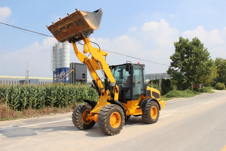 Lgcm Factory Used Suger Cane Loader with Multifunctional Accessories