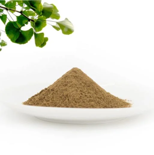 High quality/High cost performance  Ginkgo Biloba Leaf Extract Powder CAS 90045-36-6