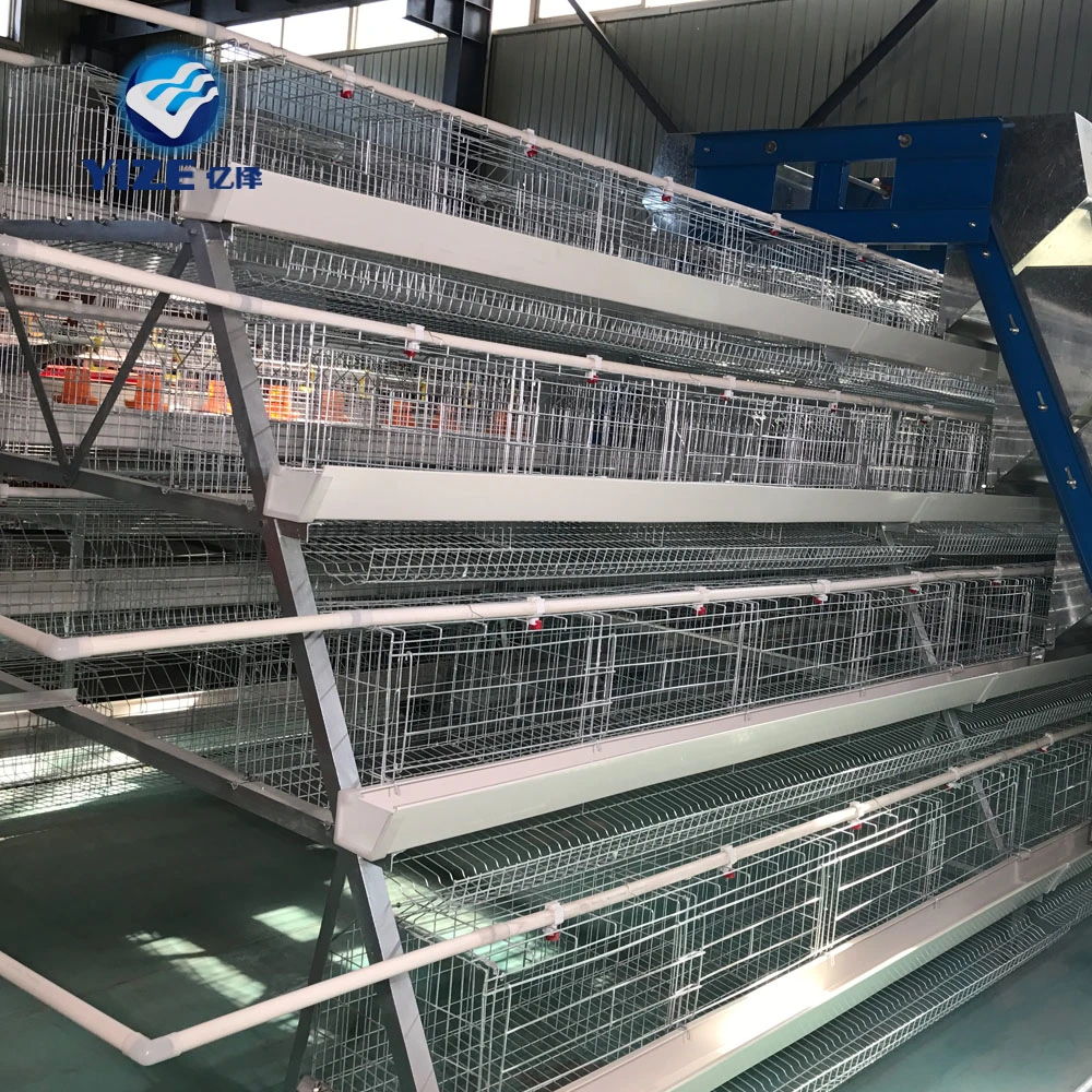 3 Tier 96 Capacity Chicken Layer Poultry Farm Design