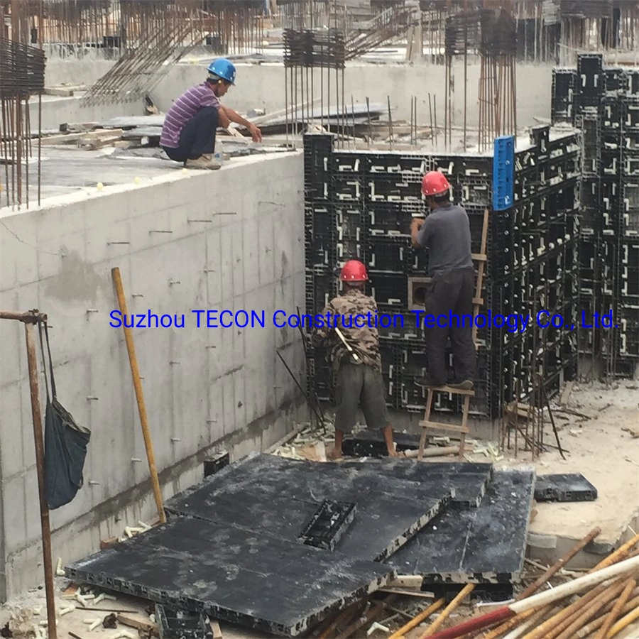 Tecon Reusable Plastic Wall and Column Formwork for House