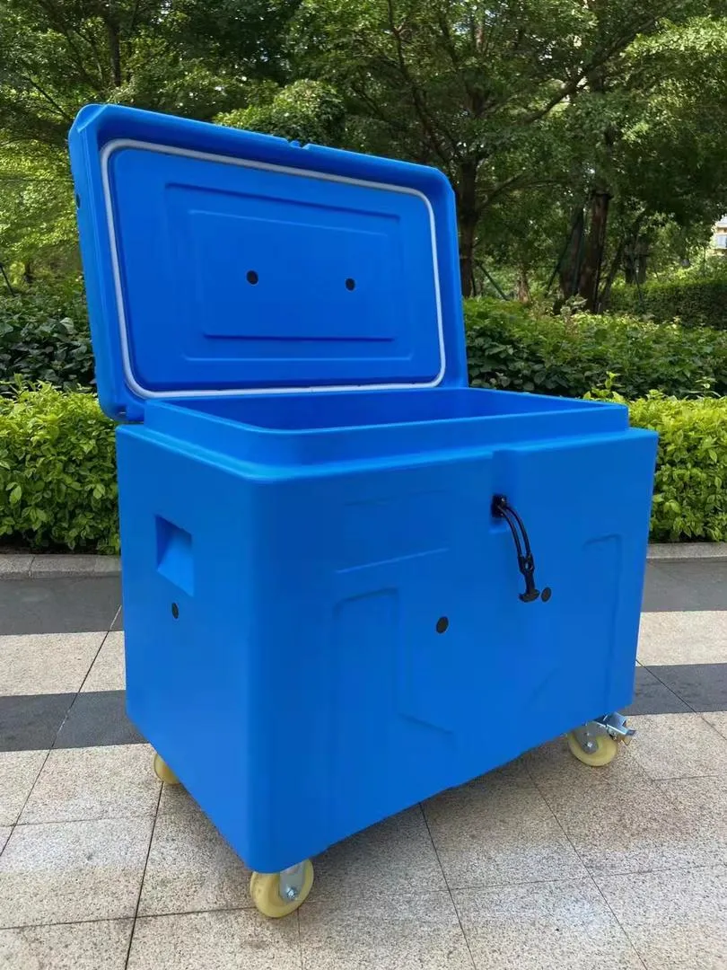 صندوق تخزين بلاستيكي لحاوية طعام جافة كبريتية/ ثلج جاف الحاوية