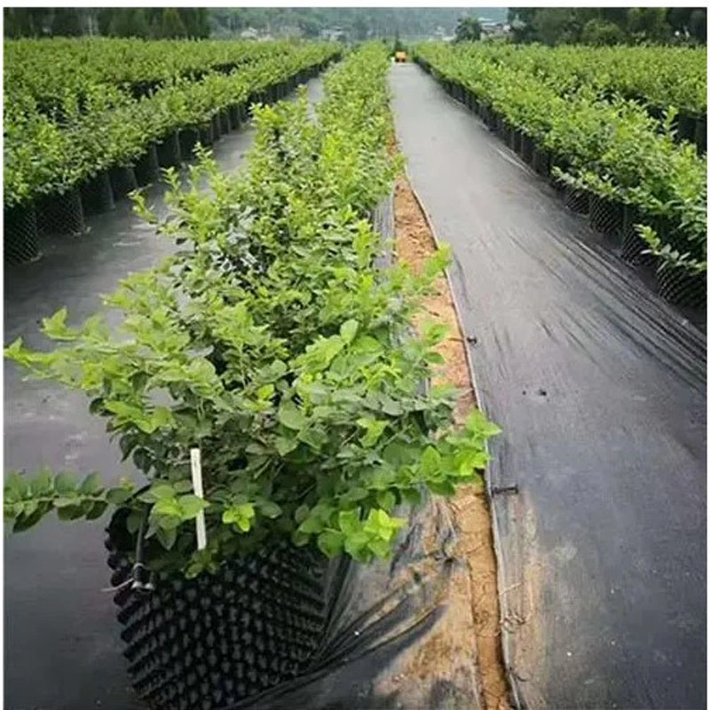 High quality/High cost performance  Garden Nursery Weed Control Ground Cover Weeding Cloth