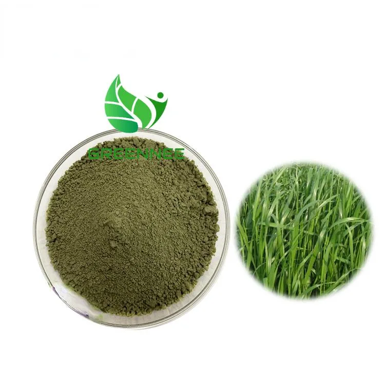 Supply Perennial Ryegrass Powder Wholesale/Supplier Hei Mai Cao Powder