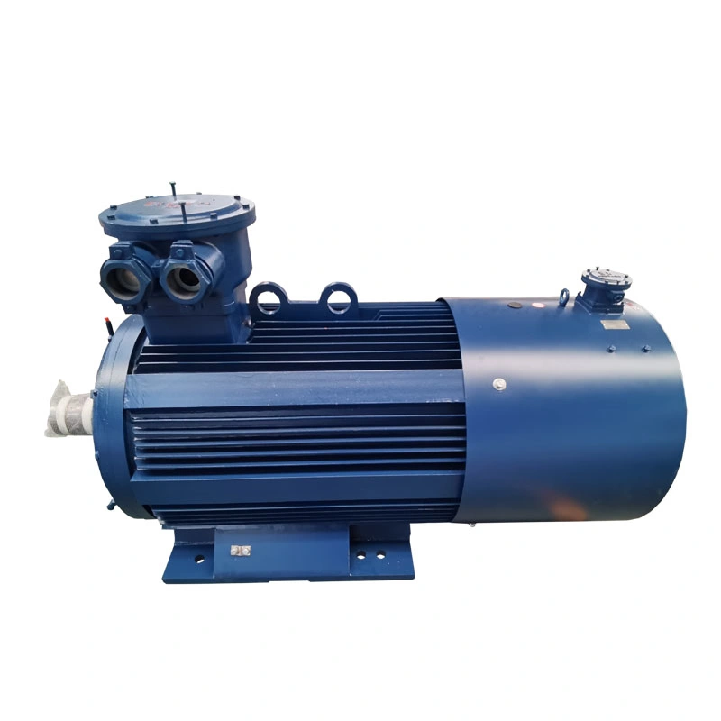 Ybbp315m-132kw 300rpm Explosion-Proof Frequency Conversion Speed Control Three Phase AC Motor