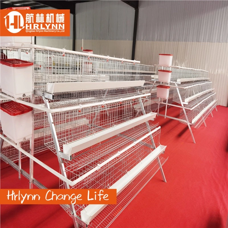 Africa Zambia Stocks Poultry Farm Layer Cage with Easy Fecal Cleaning