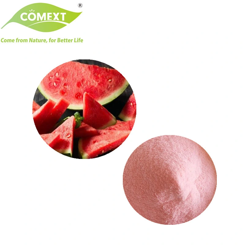 إضافات غذائية من المصنع إلى مستحضرات كومانتر 100% من مسحوق فواكه Pure Watermelon/عصير ميلون مسحوق