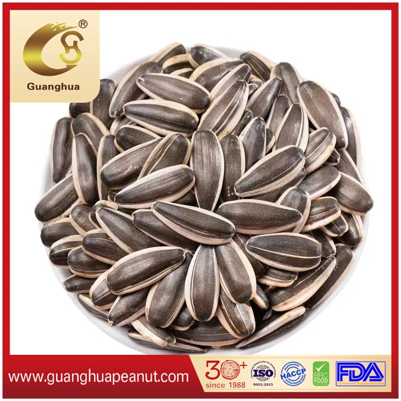 New Harvested 363 Type Sunflower Seeds