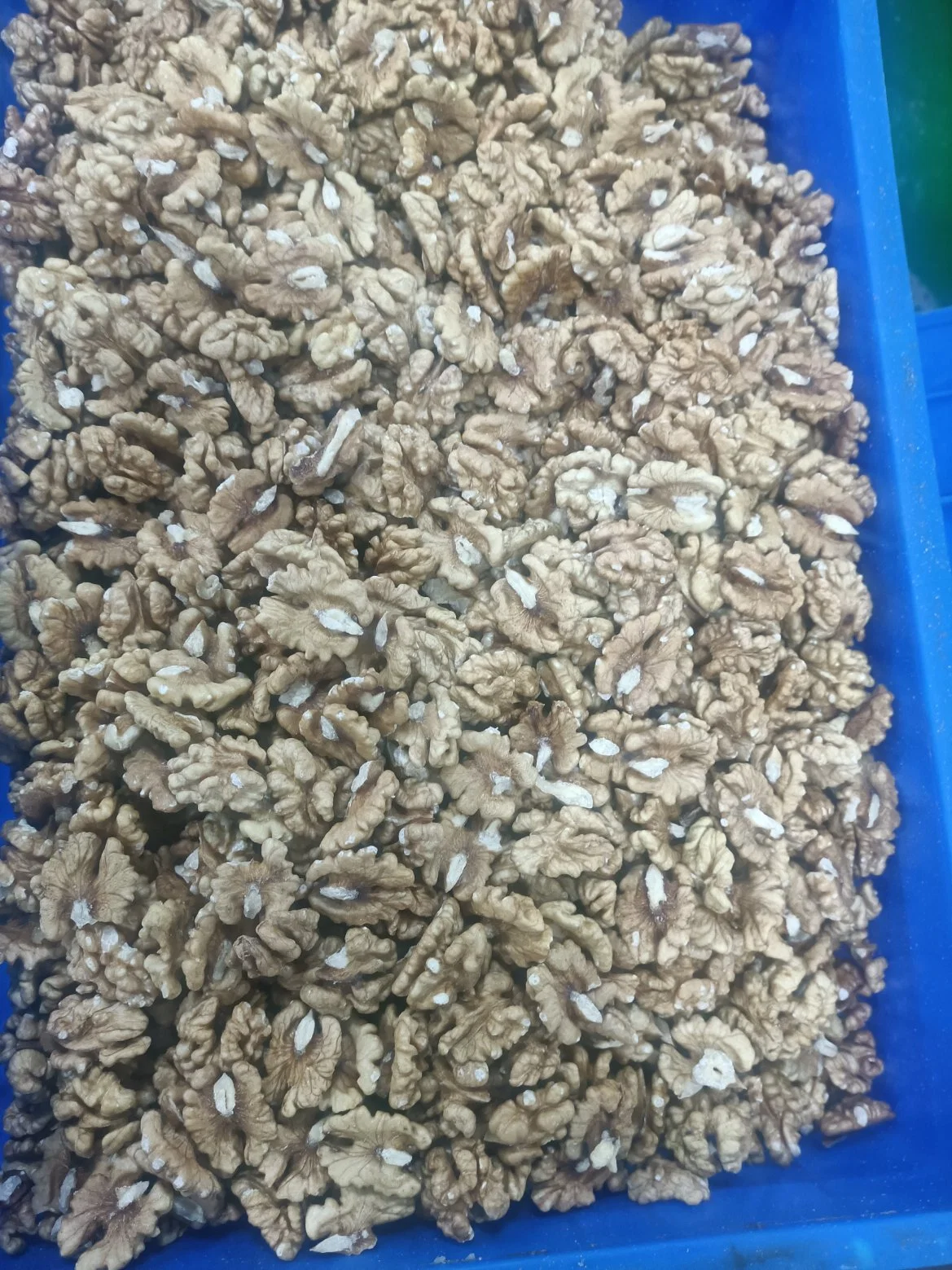 High-Quality Xinjiang Walnut Kernels