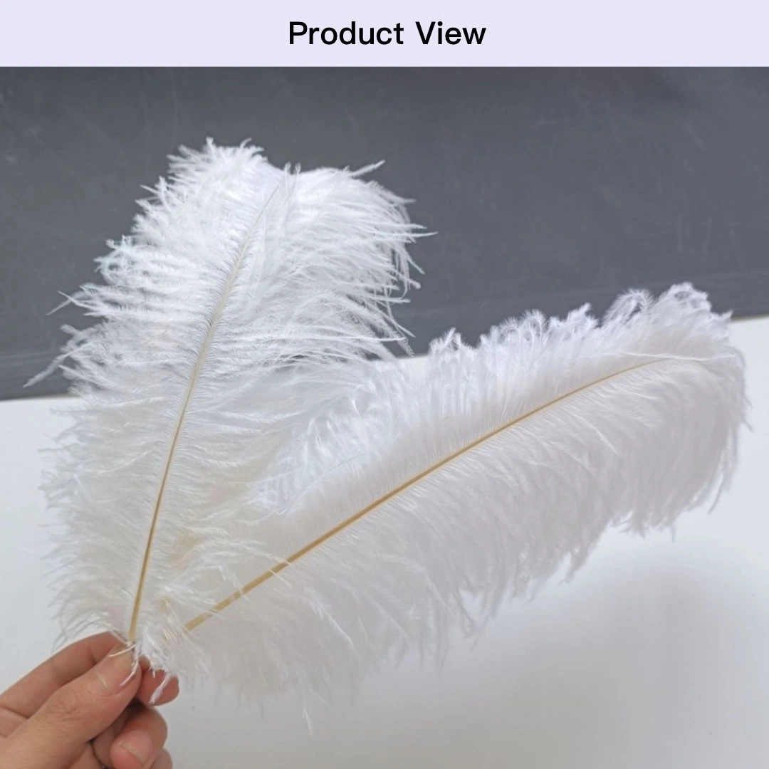 Easter Decoration Peacock Feather Different Sizes