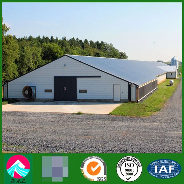 Customized Prefabricated Steel Structure Building Engineered Poultry Farm with CE, CSA&as Certificate High quality/High cost performance 