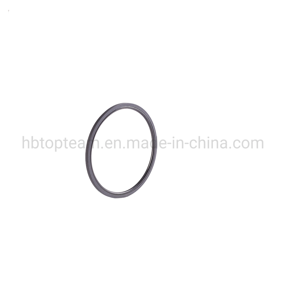 China Manufacturer Oep/Tg4/M16/Oq/Yrb/SKD/Gns Hydraulic Cylinder Double-Action Piston Rotary Glyd Seal Ring