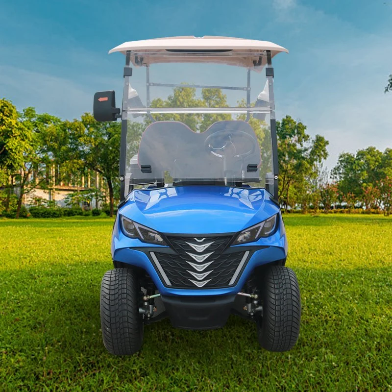 Design profissional personalizado Forge G2 Electric Golf Carts de 2 lugares Buggy do Golf