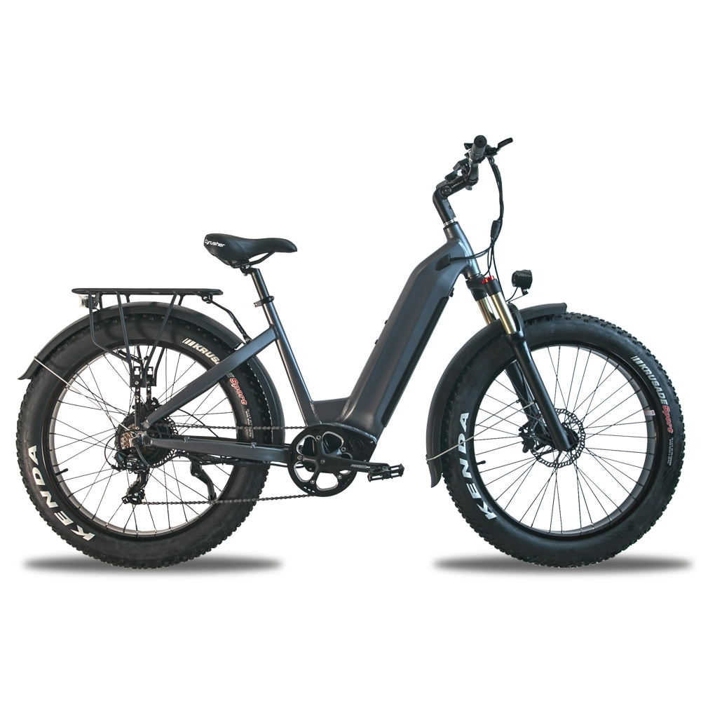 27.5" Vélo électrique Moto électrique Vélo électrique avec batterie Lithiun Batterie LG Pack 48V 28ah 750W Vélo électrique pliant