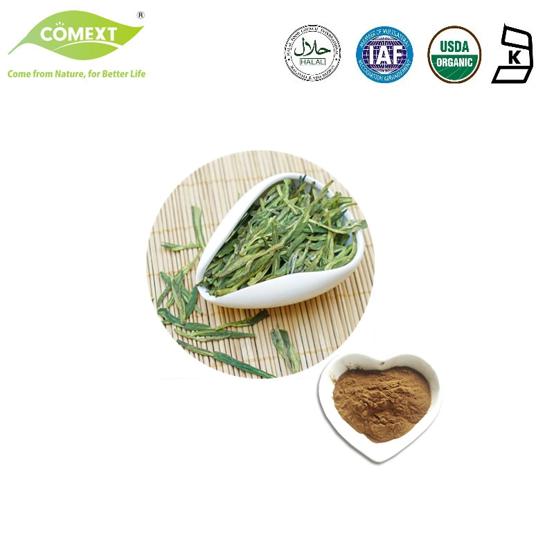 OEM ODM Servicio Comext &amp;Camellia Sinensis extracto de té verde el 25% Polifenoles