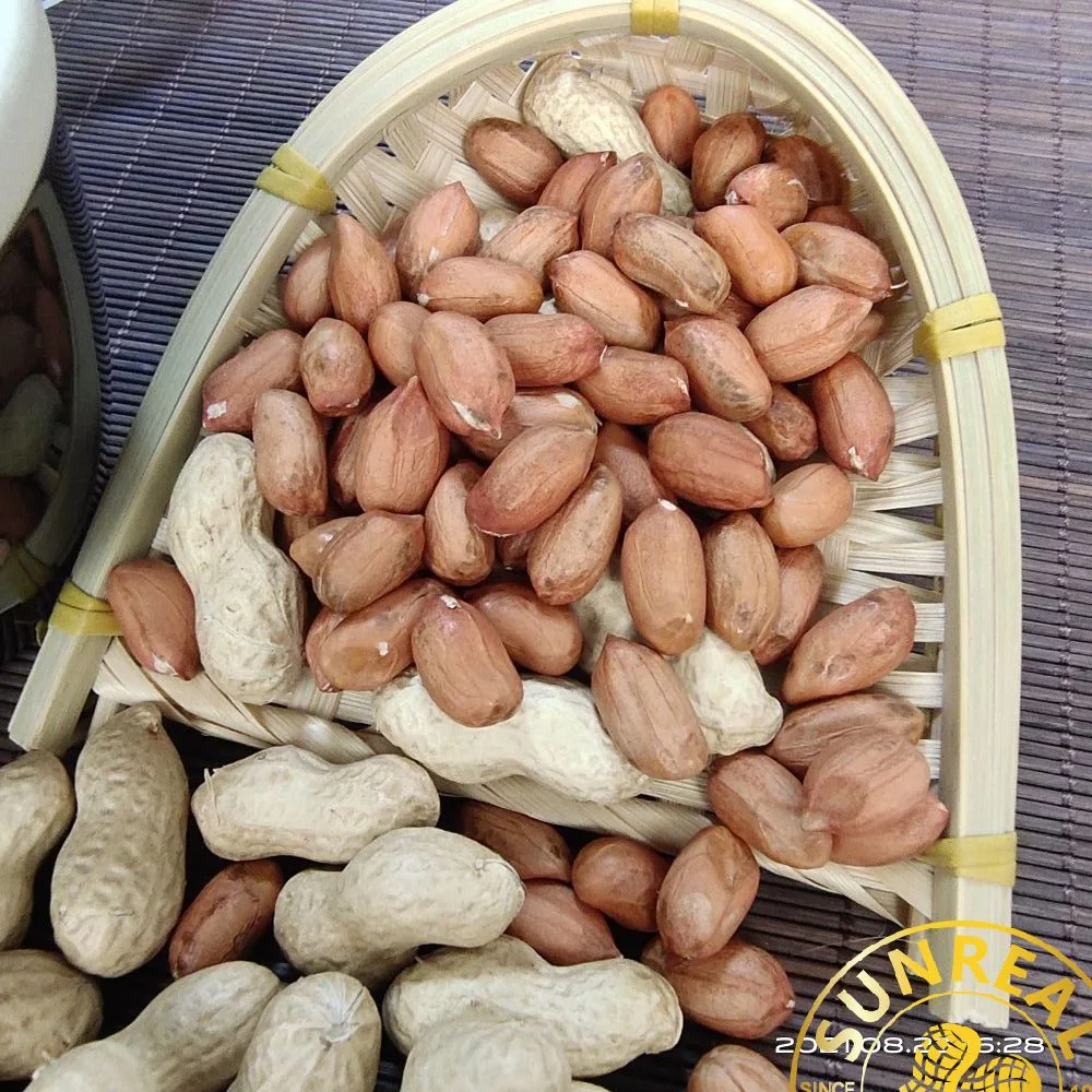 Roasted Peanut Kernels/Java/Premium/Crispy&Fresh