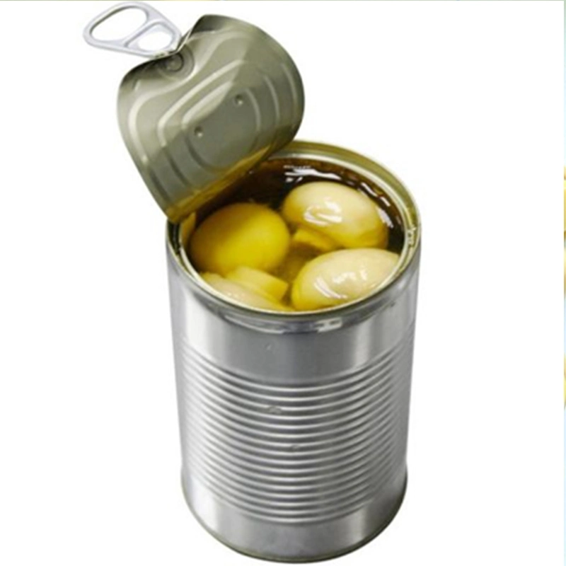 Canned Food Canned Vegetable Whole Mushroom with Super Quality