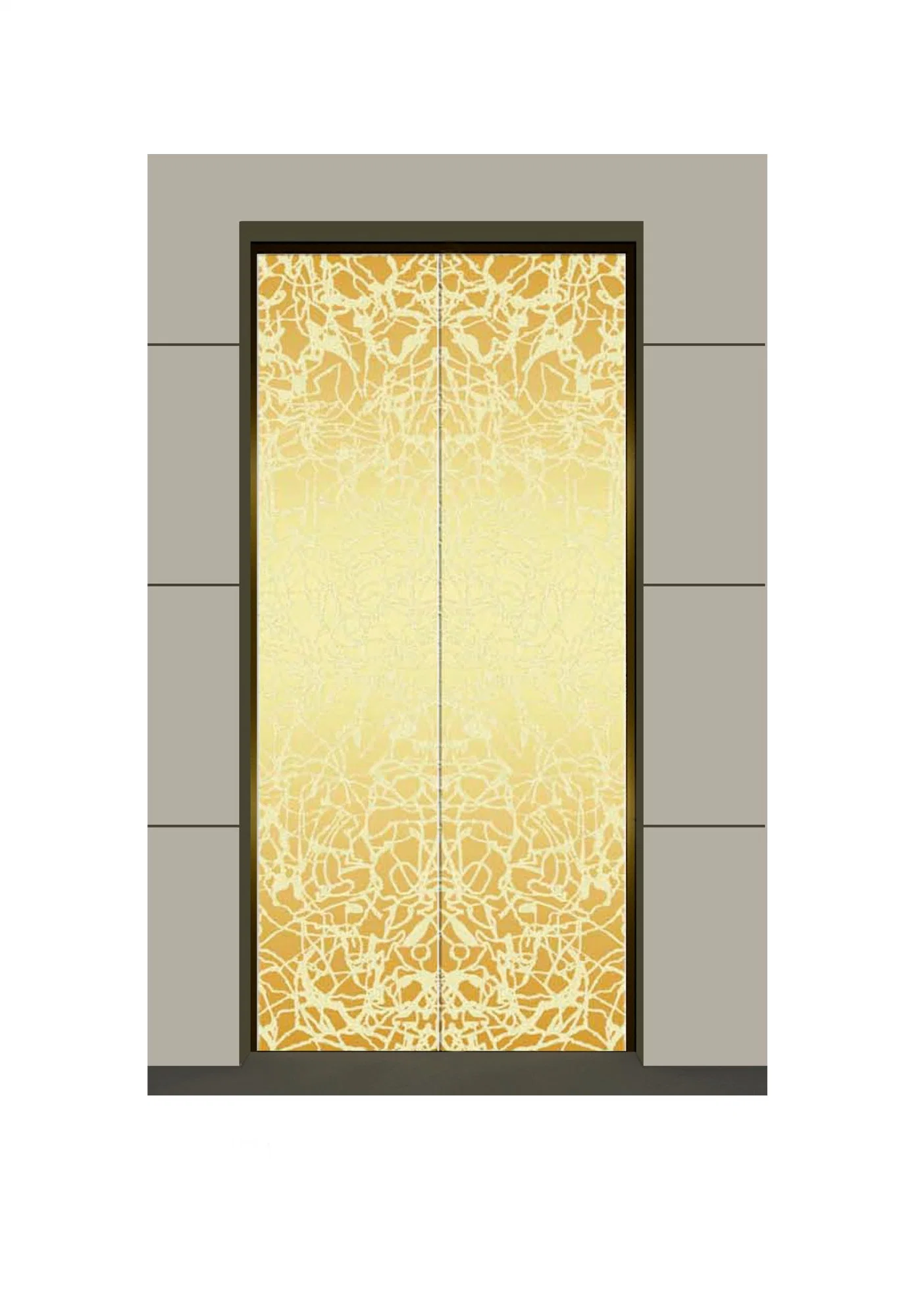 Luxury Type Passenger Elevator Lift Etched Type for Residential/Villa/School/Hotel/House/Public Projects